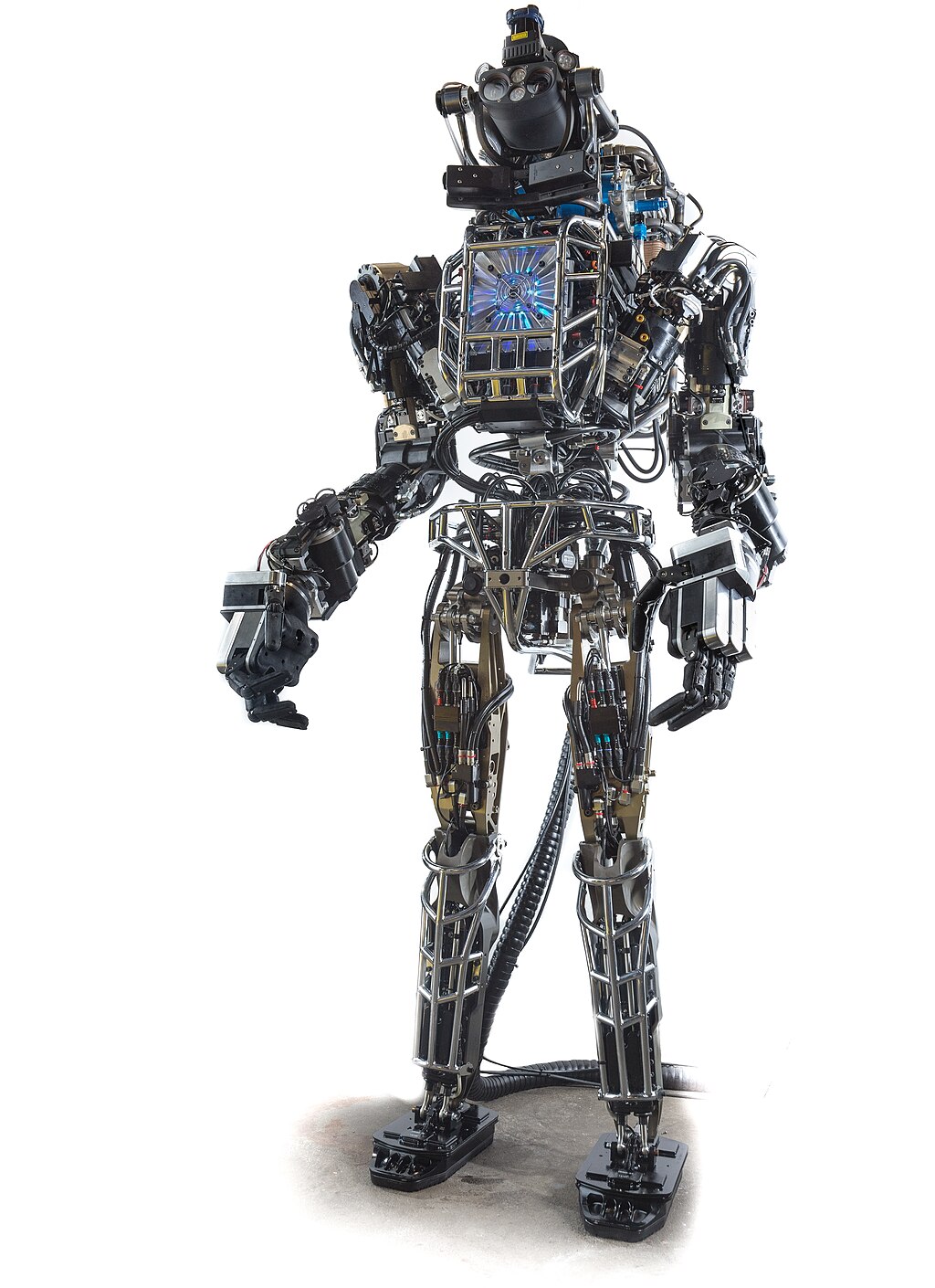 Atlas (2013), robot androïde de Boston Dynamics. Wikipedia.