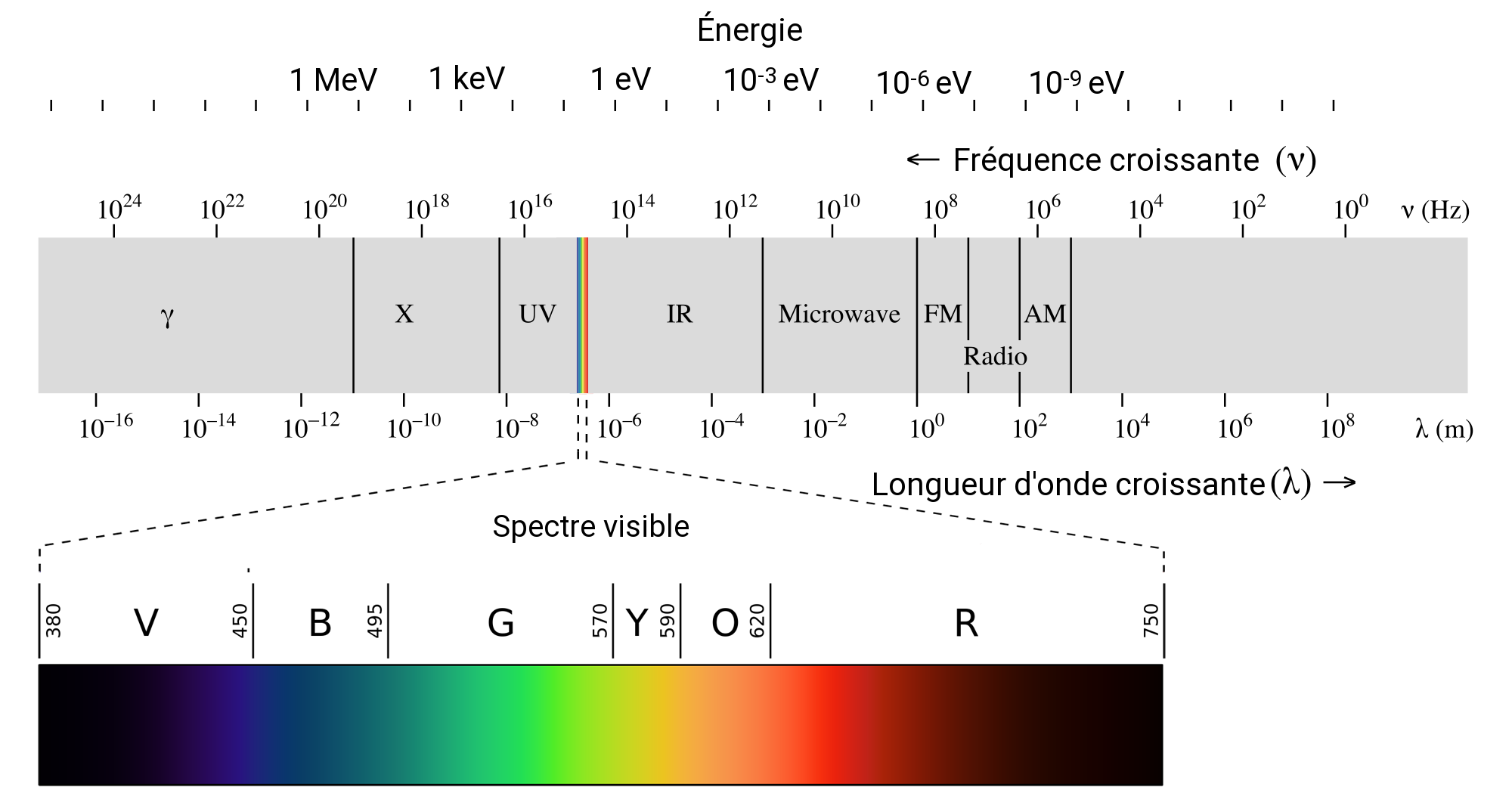 spectre d'OEM de la lumière - wikipedia