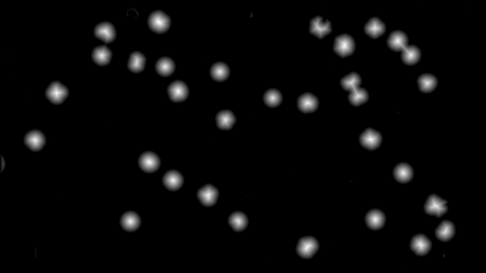 calcul de la distance au bord: Binary > Distance Map